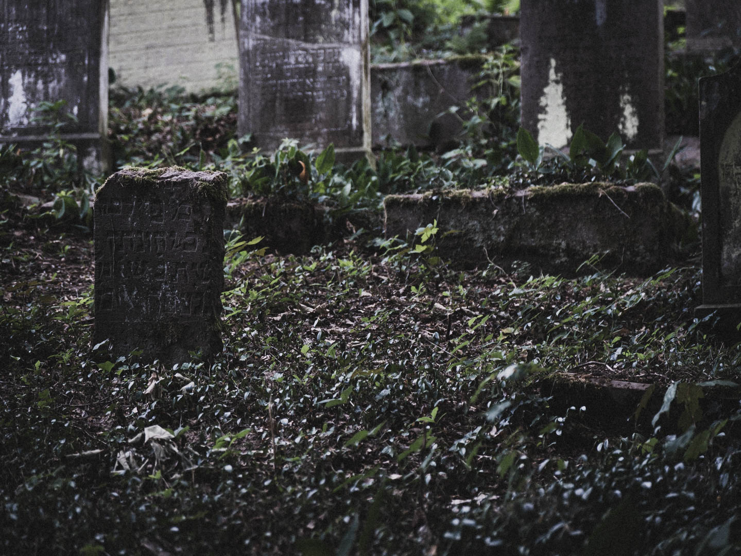 Bodenfeldem Jüdischer Friedhof